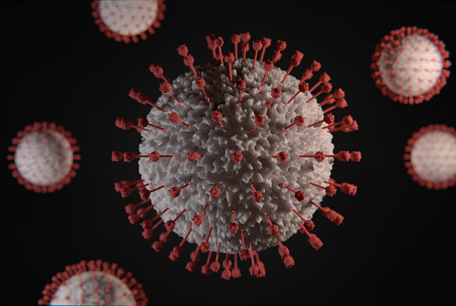 Can viruses control our behavior? www.researchingaliensandufos.com