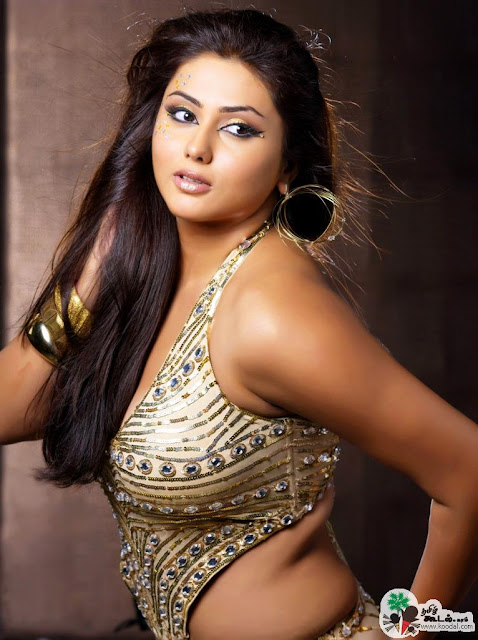 Namitha Telugu Sexy Actress