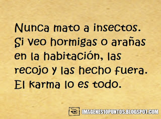 frases del karma