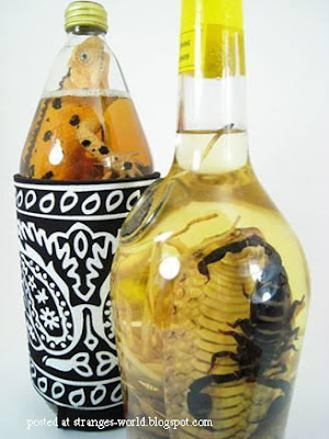 Snake Wine