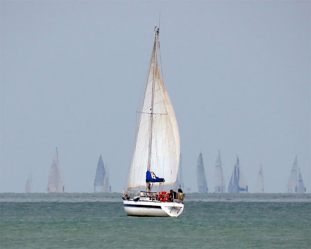 Sailboat, port of Livorno