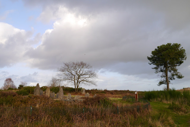 Les Mégalithes de saint-Just 35 ille et Vilaine dans les landes de Cojoux. ici,  la croix saint pierre, monument du néolithique