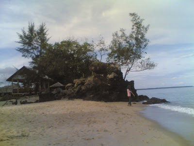 dabo singkep wisata alam pantai batu berdaun 7