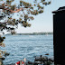 Finlande / 10 bonnes raisons d'aller à Helsinki /