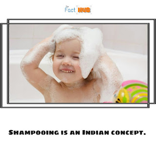 Shampooing is an Indian concept.