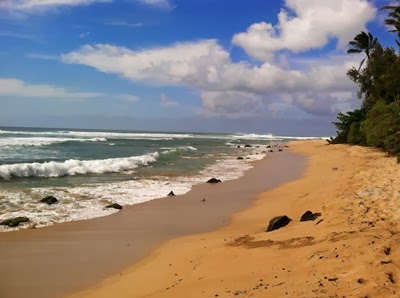 phone pictures 599