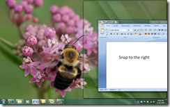 Windows 7 - Snap 2