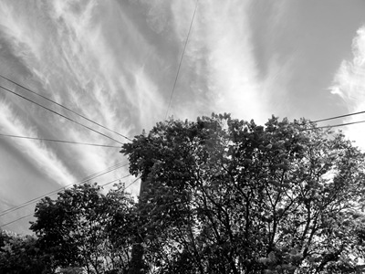 IMG_3399