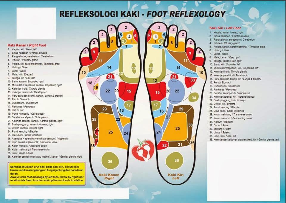 RAWATAN REFLEKSOLOGI (URUTAN TAPAK KAKI)  AL HIJAMAH TRADING