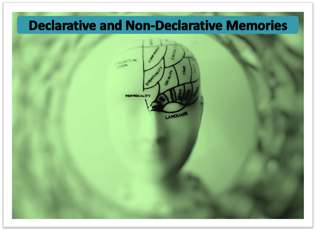 human brain main parts, neurons, nerve cells, human brain statistics, how our brain works, amygdala, neocortex, hypocampus, hippothalamus, what happens when we sleep