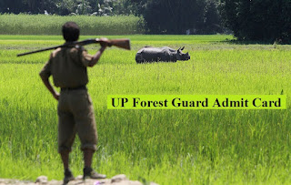 UP Forest Guard Admit Card