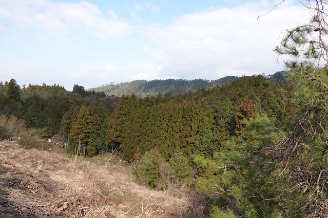 鳥取県米子市淀江町本宮 稲吉本宮線の農道からの眺望