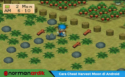 Cara Cheat Harvest Moon Back to Nature Android