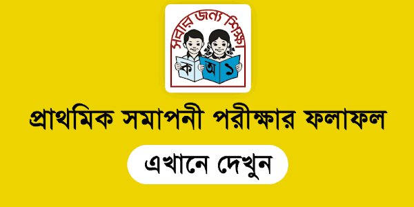 PSC Result 2019 for Class 5 (পিএসসি রেজাল্ট প্রকাশিত)