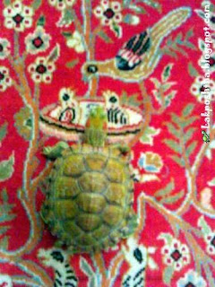 My Res on beautiful Persian Carpet , Iran have the most beautiful carpet in world. My Res love slide on it and see its images.<br />