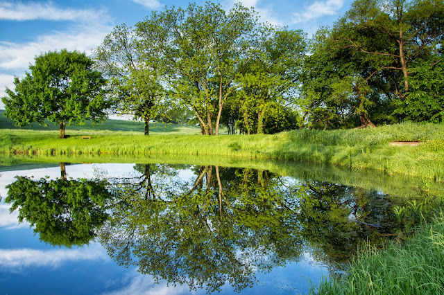 Reflecting Pond, Ennis Bluebonnet Festival