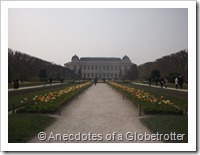 DSCF0634