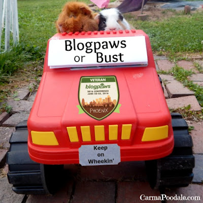 2 Guinea pigs in a toy truck with "Blogpaws or Bust" on windshield.