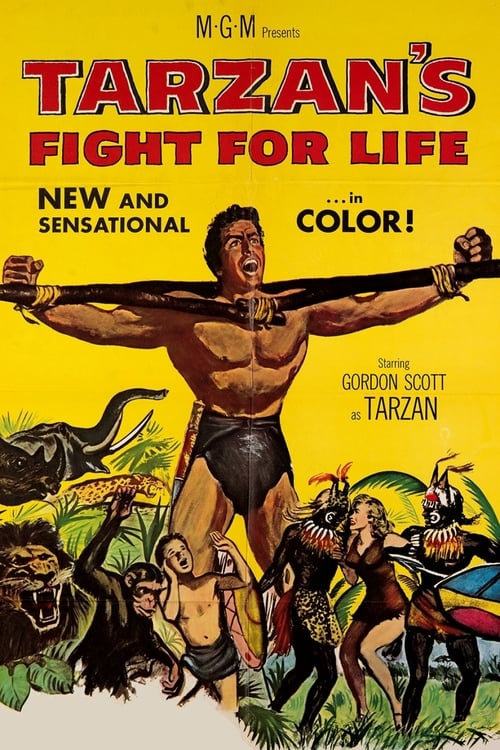 Regarder Le combat mortel de Tarzan 1958 Film Complet En Francais