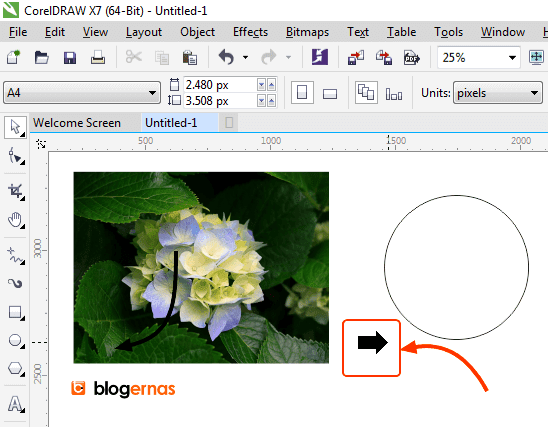 Cara Detail Cropping Foto dengan Corel Draw