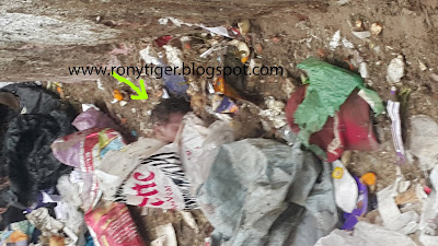العثور على جثة طفل رضيع  داخل كيس  وسط القمامة بمنطقة العمرانية