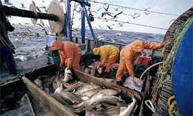 http://www.theguardian.com/environment/2014/dec/16/fishing-quotas-defy-scientists-advice