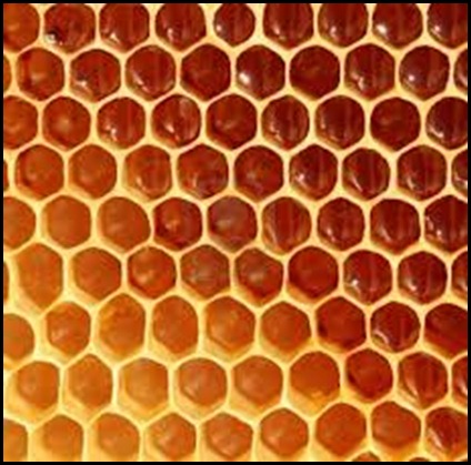 honeycomb