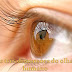 Mensagem: As três dimensões do olhar humano. 06/02/2011, Domingo