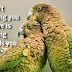 Love Quotes For Husband - Spanish Love Quotes - Inspirational Love Quotes