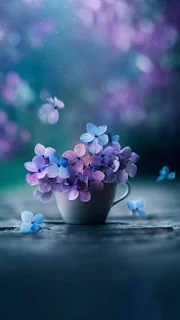 أجمل خلفيات الواتس اب
