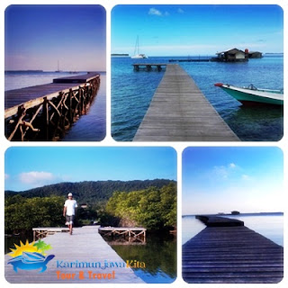 dermaga mangrove inn karimunjawa