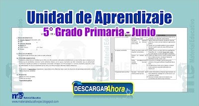 Unidad de Aprendizaje 5° Grado Primaria - Junio