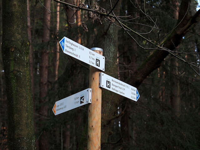 Wir kommen von den Rethlager Quellen und gehen in Richtung Bienenschmidt