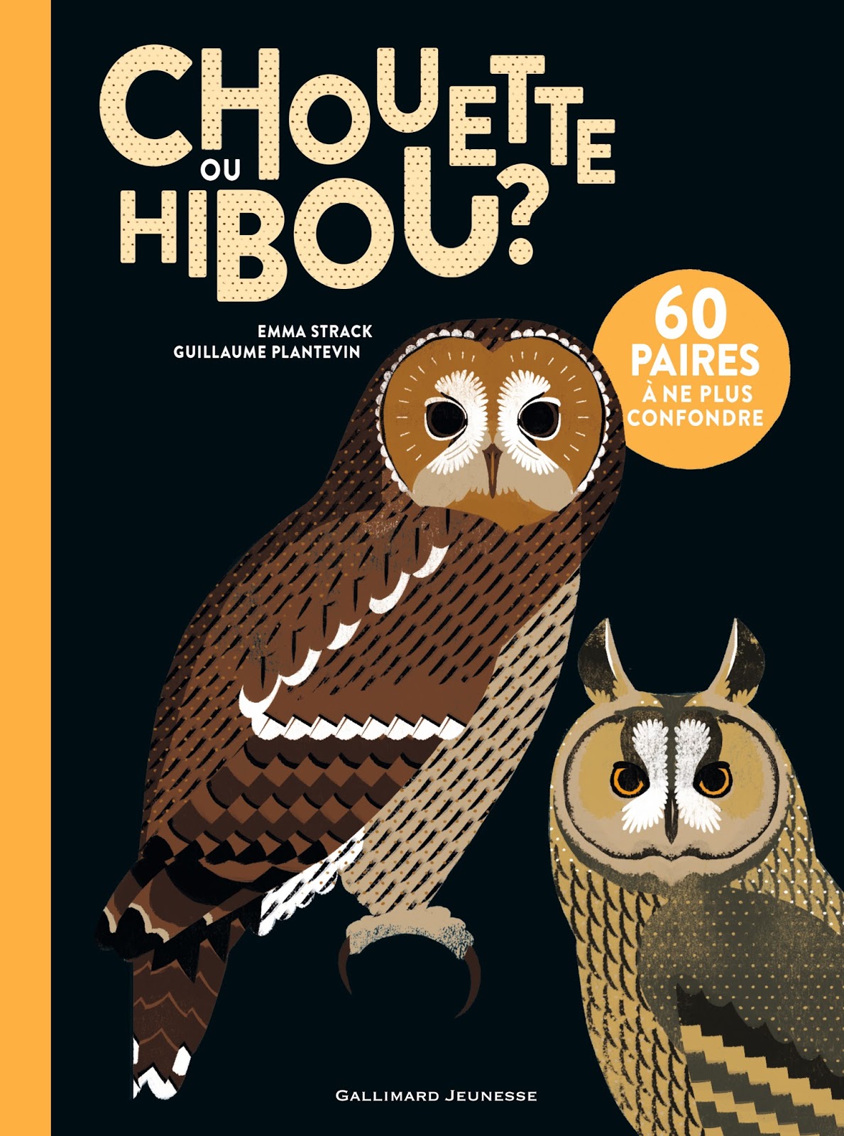 Chouette et hibou comment les distinguerPratique 