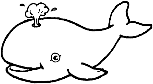 Color Book Animals  Fish And Sea Animals Coloring Pages  Diy Clipart  Library