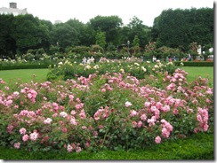 IMG_5802 IMG_5802
