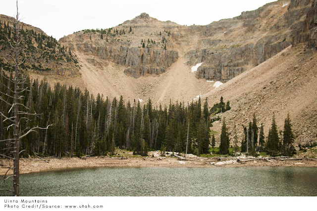 trees surrounding a windy lake in the Uintas