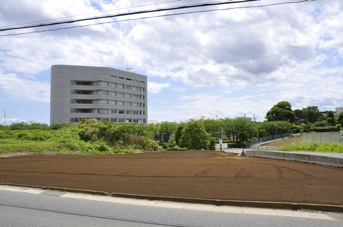 DSC 0008
