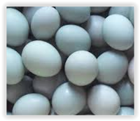 Awas Bahaya Di Balik  Telur Asin Aspal1, Awas Bahaya Di Balik  Telur Asin Aspal2