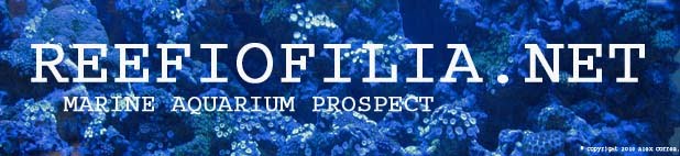 REEFIOFILIA.NET