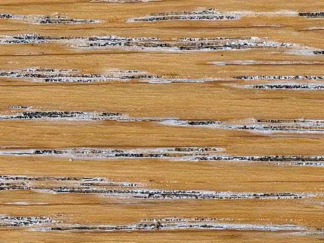 Wood weathered texture
