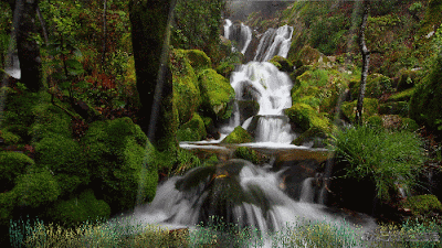Waterfall Animated Wallpaper v1.0 Waterfall Animated Wallpaper v1.0