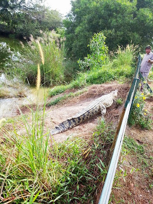 Paya Indah Wetlands