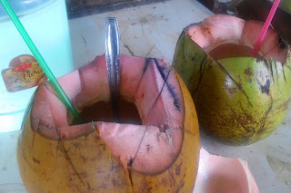 manfaat kelapa wulung untuk kesegaran tubuh