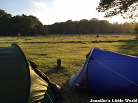 Tents in the New Forest at sunset