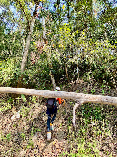 中和山登山口