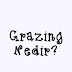 Grazing Nedir?