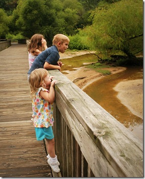 kidsboardwalk