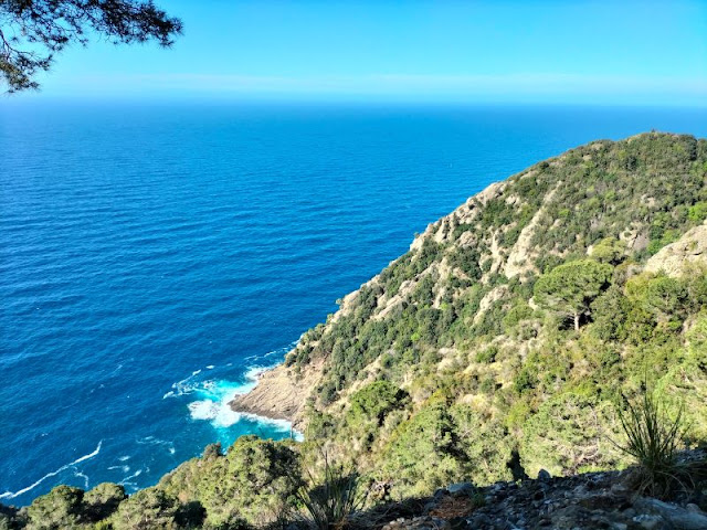 panorama sentiero liguria portofino