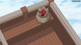 ワンピースアニメ パンクハザード編 602話 | ONE PIECE Episode 602